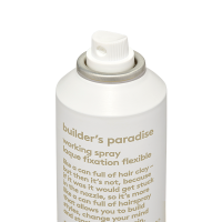 EVO Builder's Paradise Working Spray 300ml - Afbeelding 2